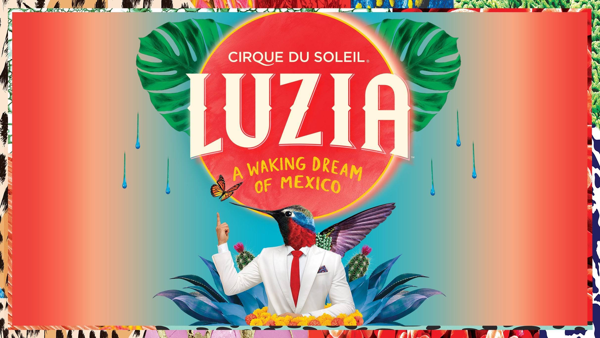 Cirque du Soleil Luzia