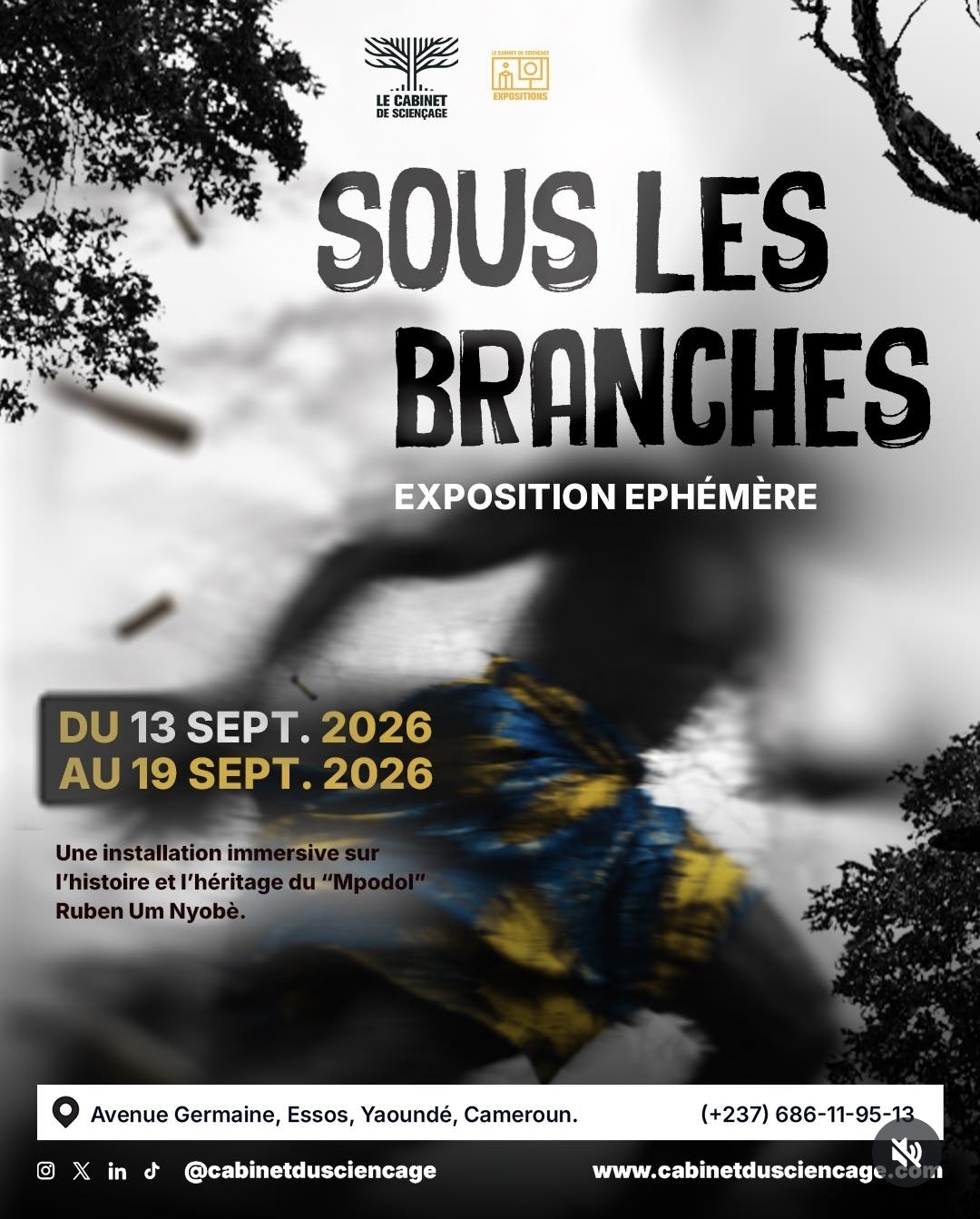 Sous les Branches: Expositions Éphémères