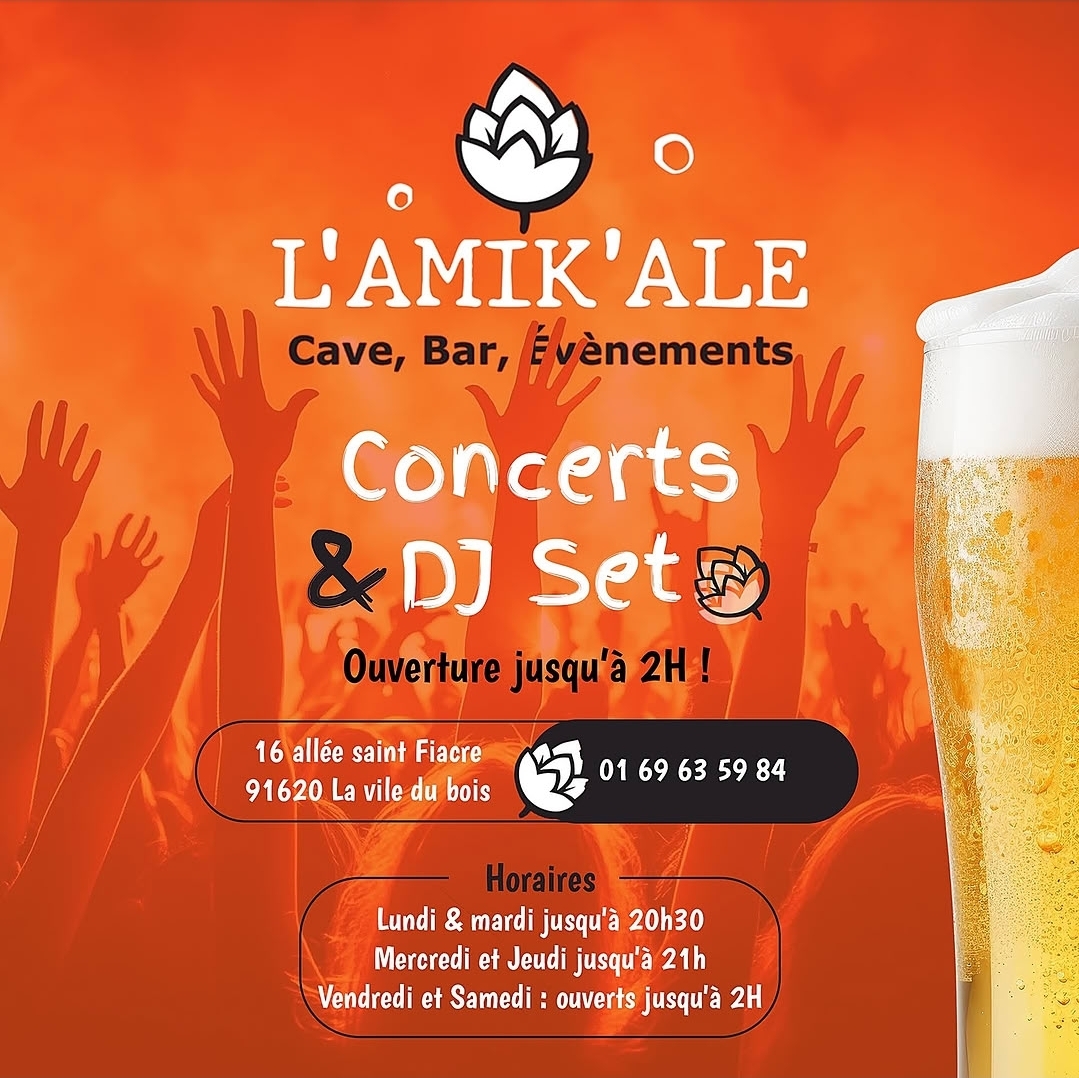 L'Amik'Ale - Concerts & DJ Set