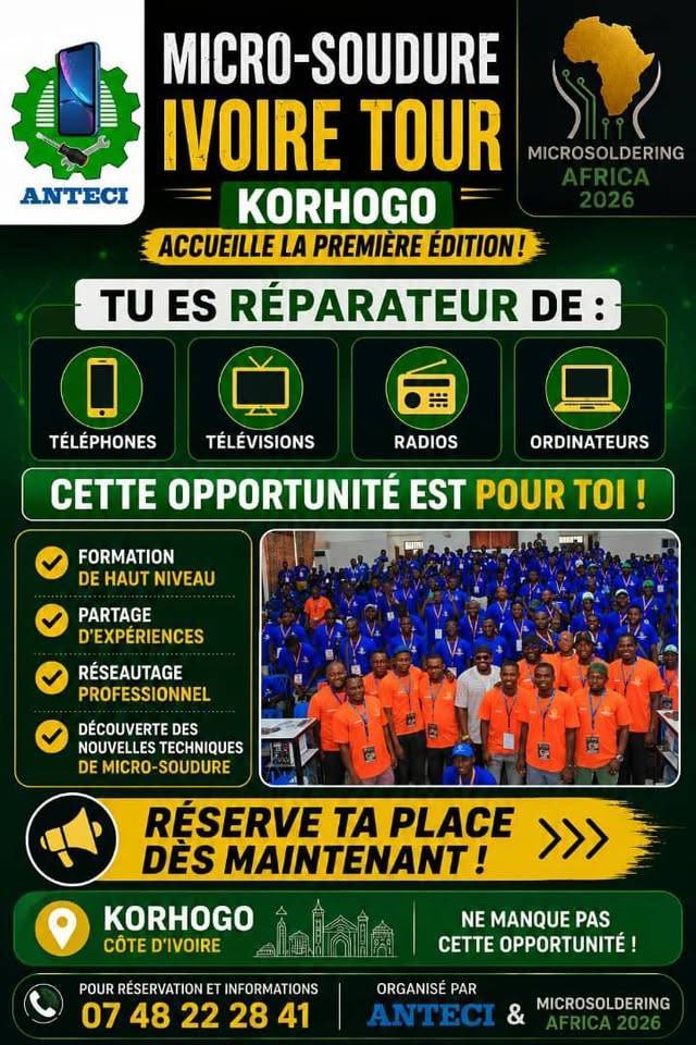 microsoldering ivoire Tour