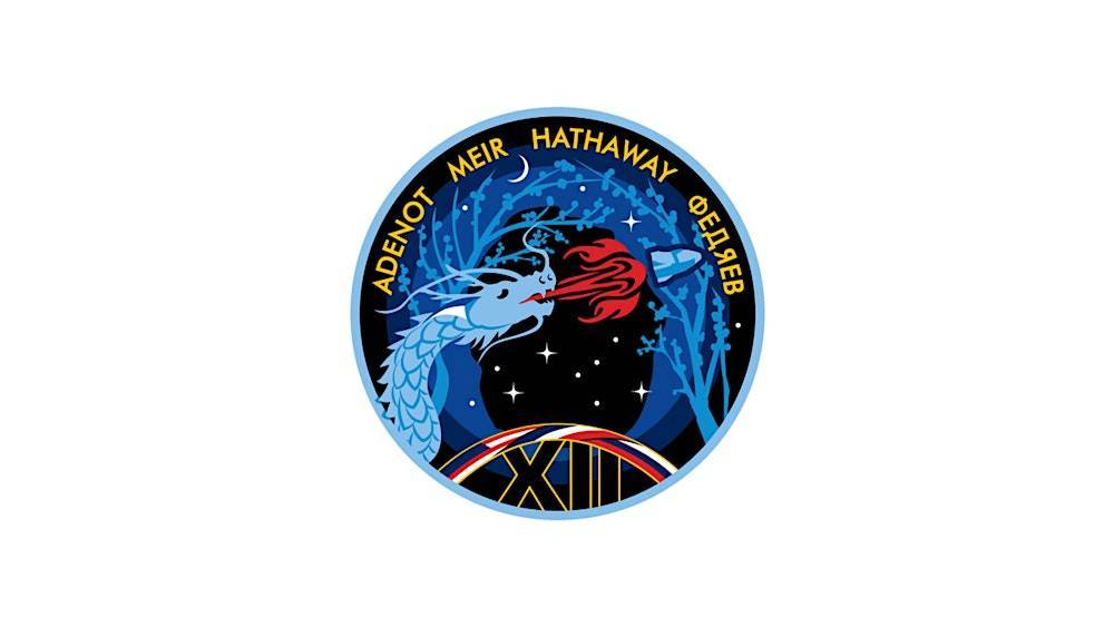 NASA's SpaceX Crew-12 Mission Launch