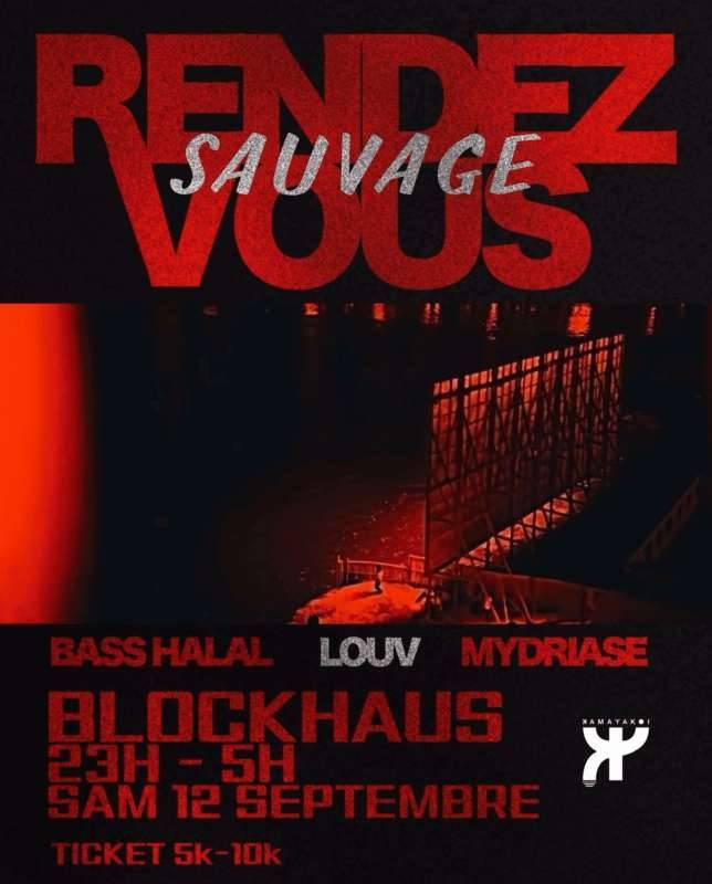 Rendez-vous Sauvage en bord de lagune