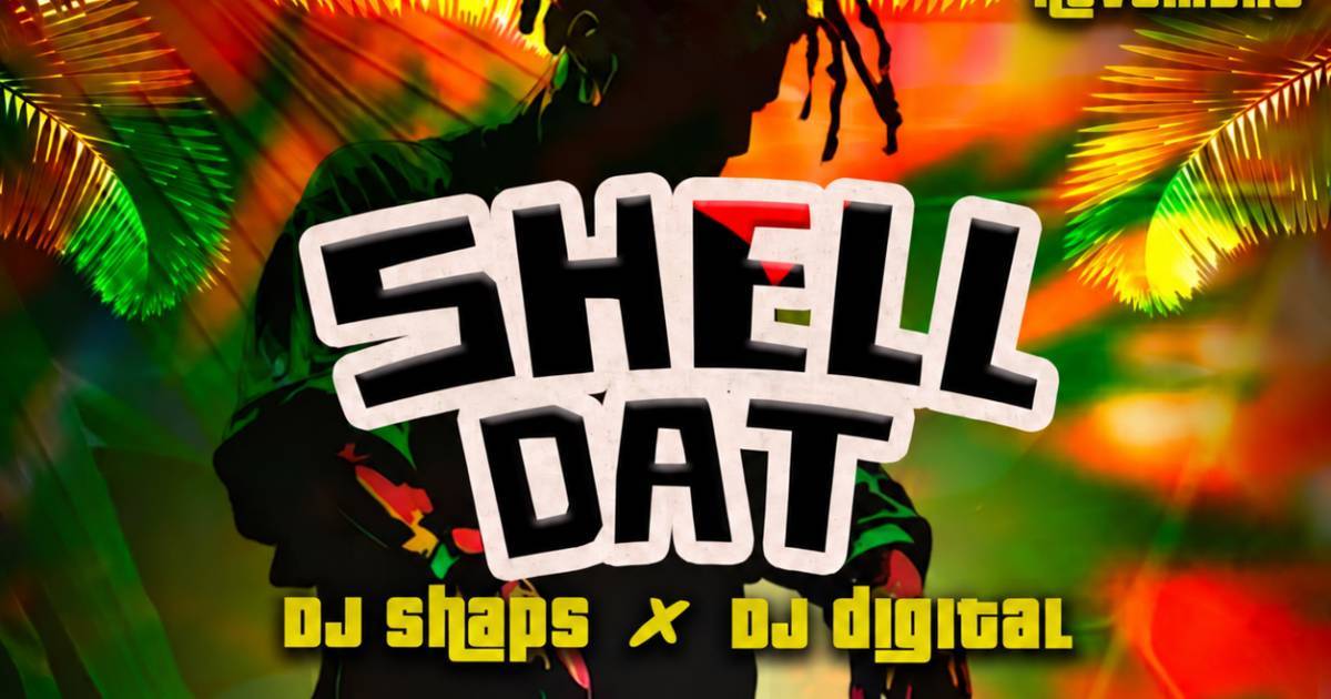 Shell Dat avec DJ Shaps et DJ Digital